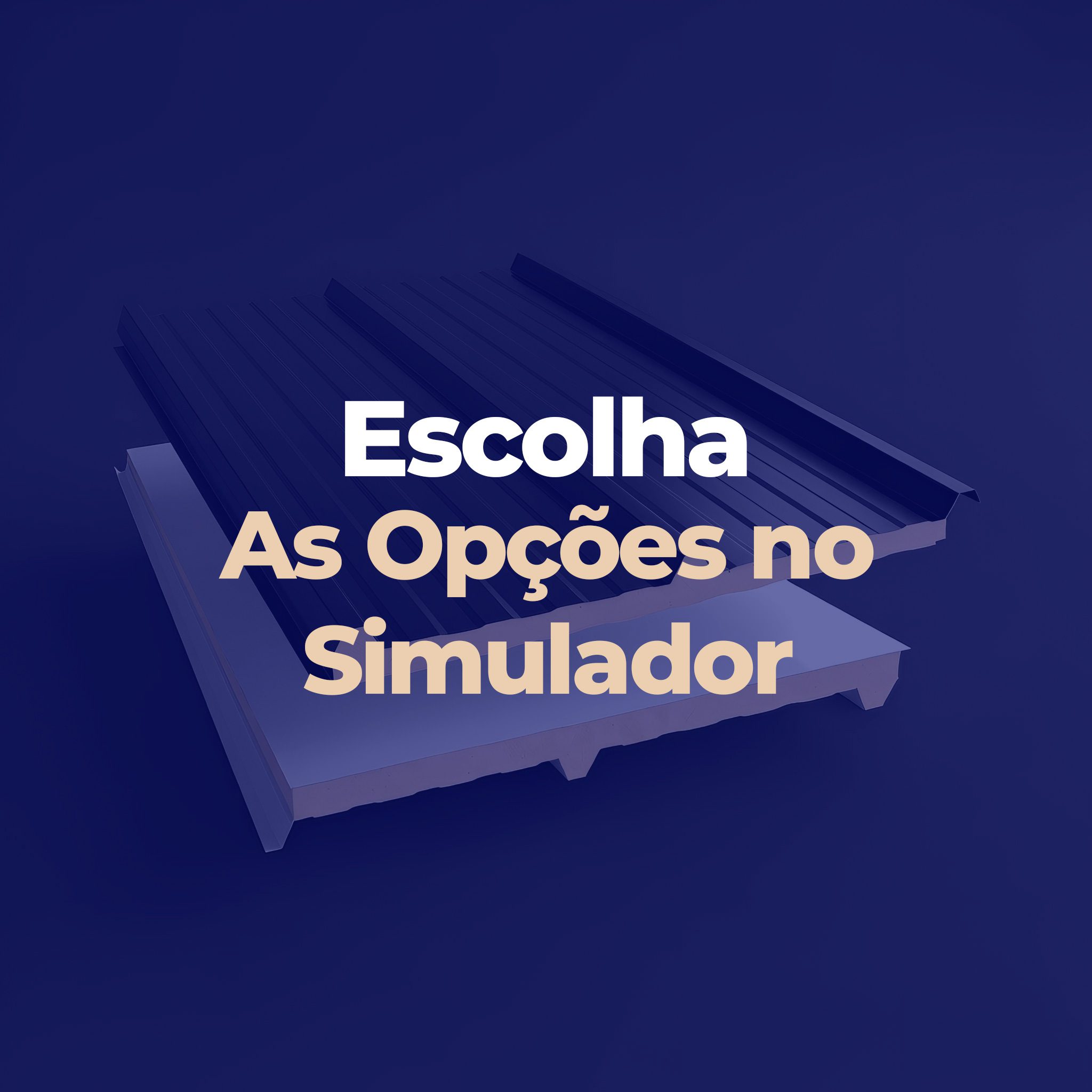 Selecione as opções